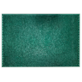 TRAWKA GUMOWA WYCIERACZKA 40x60cm ZIELONY