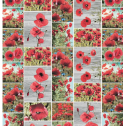 ANTALYA CERATA NA WŁÓKNINIE sz140cm d20m WF-5577A