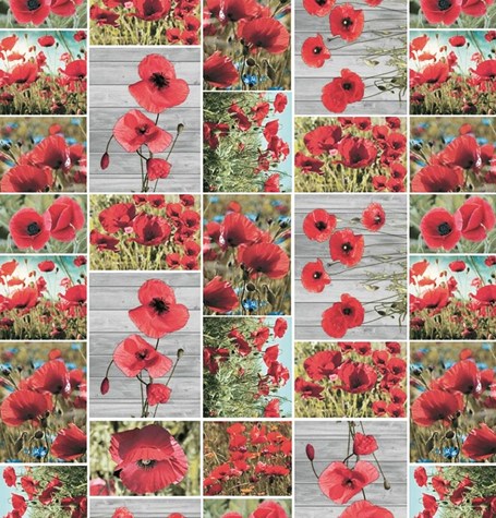 ANTALYA CERATA NA WŁÓKNINIE sz140cm d20m WF-5577A