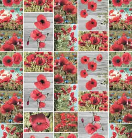 ANTALYA CERATA NA WŁÓKNINIE sz140cm d20m WF-5577A