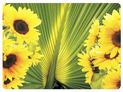 MATA DEKORACYJNA PODKŁADKA TWARDA 30x40cm wz.40