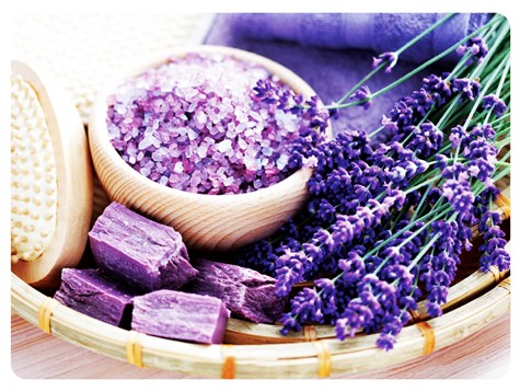 MATA DEKORACYJNA PODKŁADKA TWARDA 30x40cm wz.50