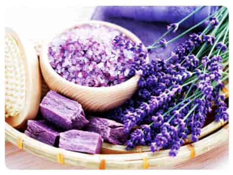 MATA DEKORACYJNA PODKŁADKA TWARDA 30x40cm wz.50