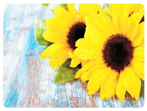 MATA DEKORACYJNA PODKŁADKA TWARDA 30x40cm wz.60