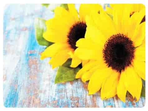 MATA DEKORACYJNA PODKŁADKA TWARDA 30x40cm wz.60