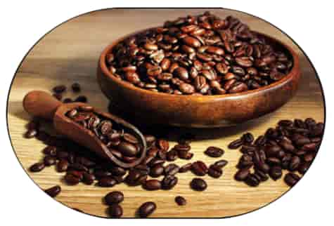 MATA DEKORACYJNA PODKŁADKA PP PCV 28x38cm wz.134