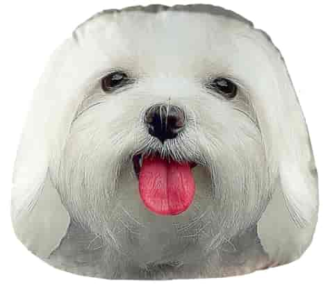 PODUSZKA DEKORACYJNA 40x40cm PIESEK BIAŁY 346