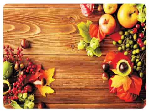 MATA KORKOWA PODKŁADKA NA STÓŁ 28,5x39cm wz.65