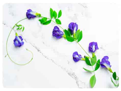 MATA KORKOWA PODKŁADKA NA STÓŁ 28,5x39cm wz.79