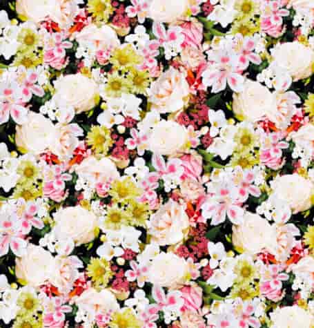 FLORISTA CERATA NA WŁÓKNINIE 140 dł20mb 01753.00