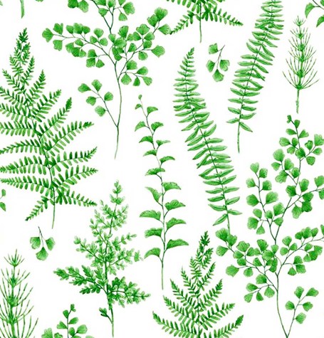 ANTALYA CERATA NA WŁÓKNINIE sz140cm d20m M-6708-1