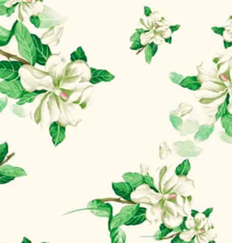 ANTALYA CERATA NA WŁÓKNINIE sz140cm d20m WF-5411A