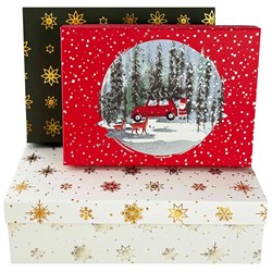 PUDEŁKO KARTONOWE NISKI PROSTOKĄT 10 CBP10-2304 BN