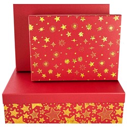 PUDEŁKO KARTONOWE NISKI PROSTOKĄT 10 CBP10-8855 BN