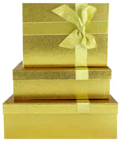 PUDEŁKO KARTONOWE PROSTOKĄT 3szt CBP03-4592G