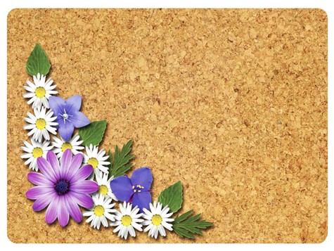 MATA DEKORACYJNA PODKŁADKA TWARDA 30x40cm wz.14