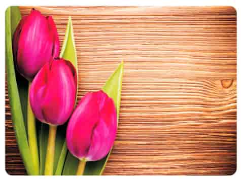 MATA DEKORACYJNA PODKŁADKA TWARDA 30x40cm wz.57