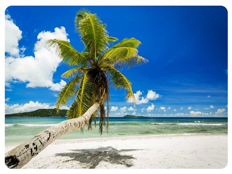 MATA DEKORACYJNA PODKŁADKA TWARDA 30x40cm wz.68