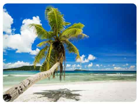 MATA DEKORACYJNA PODKŁADKA TWARDA 30x40cm wz.68