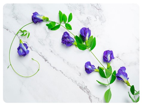 MATA DEKORACYJNA PODKŁADKA TWARDA 30x40cm wz.79