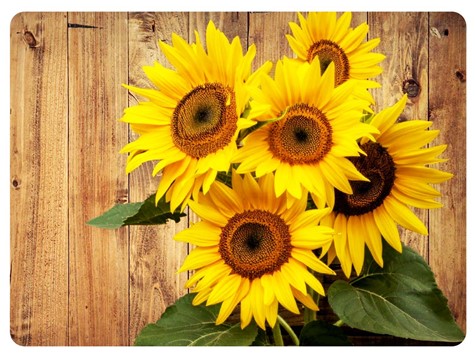 MATA KORKOWA PODKŁADKA NA STÓŁ 28,5x39cm wz.81