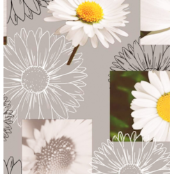 ANTALYA CERATA NA WŁÓKNINIE sz140cm d20m WF-4638B