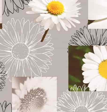 ANTALYA CERATA NA WŁÓKNINIE sz140cm d20m WF-4638B