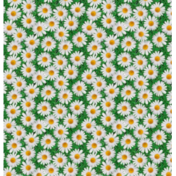 ANTALYA CERATA NA WŁÓKNINIE sz140cm d20m WF-6619A