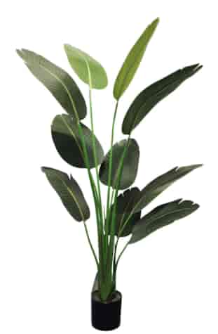 ROŚLINA SZTUCZNA 150cm STERLICJA JUS-7779