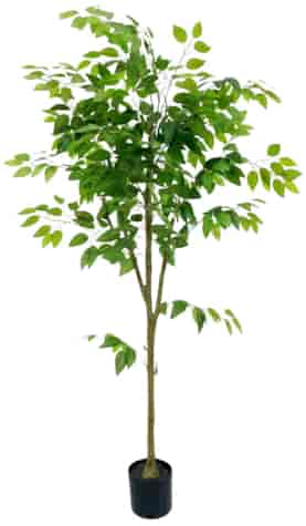 ROŚLINA SZTUCZNA 150cm FIKUS BENGALSKI JUS-7830