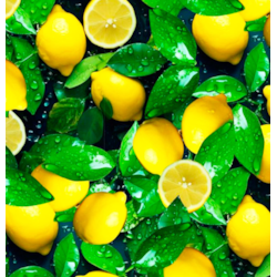 ANTALYA CERATA NA WŁÓKNINIE sz140cm d20m 59194