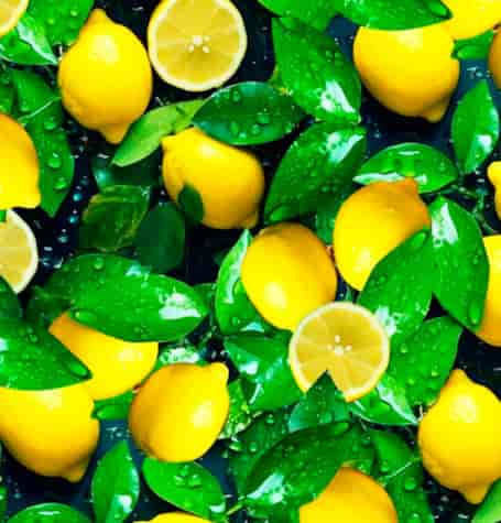 ANTALYA CERATA NA WŁÓKNINIE sz140cm d20m 59194