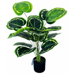 ROŚLINA SZTUCZNA  80cm EPIPREMNUM JUS-7724