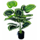 ROŚLINA SZTUCZNA  80cm EPIPREMNUM JUS-7724